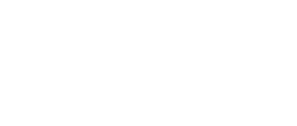 Neuroarcs